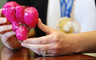Une femme tient un modèle en 3D de l’utérus de la patiente.